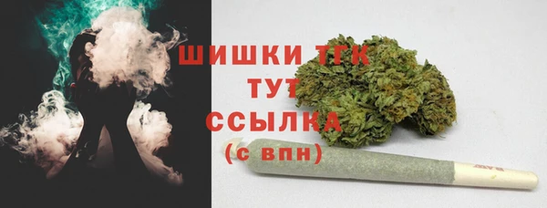 Альфа ПВП Пестово