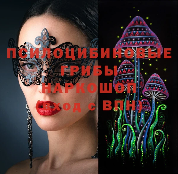дурь Пересвет