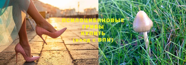 дурь Пересвет