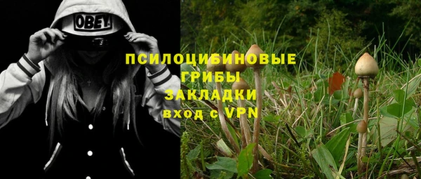 дурь Пересвет