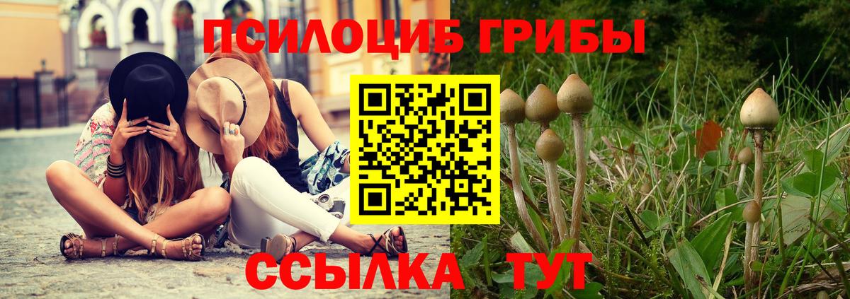 Галлюциногенные грибы GOLDEN TEACHER  Асино 