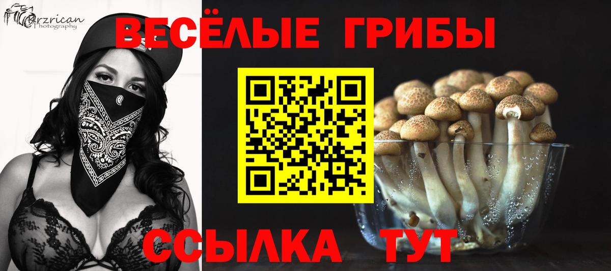 что такое наркотик  Псилоцибиновые грибы MAGIC MUSHROOMS  Вход с VPN  Асино 