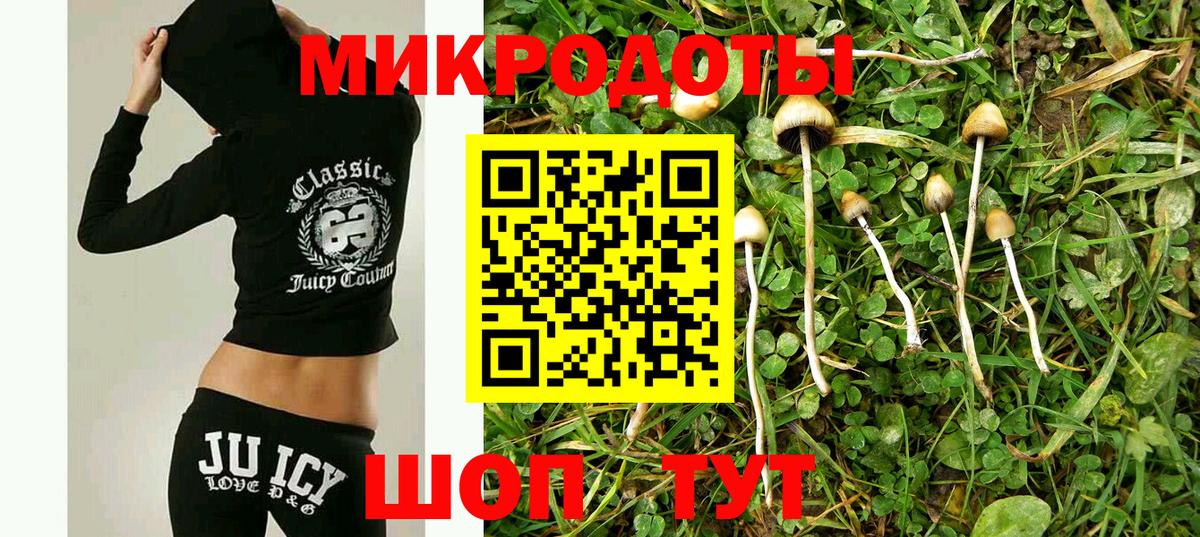 Галлюциногенные грибы Magic Shrooms Асино