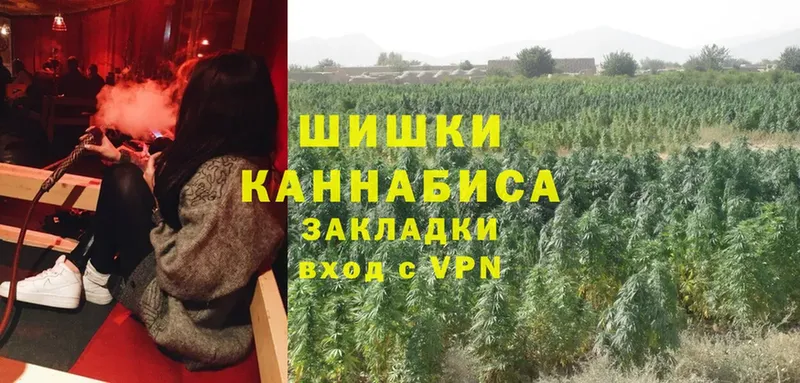 Конопля SATIVA & INDICA  Асино 