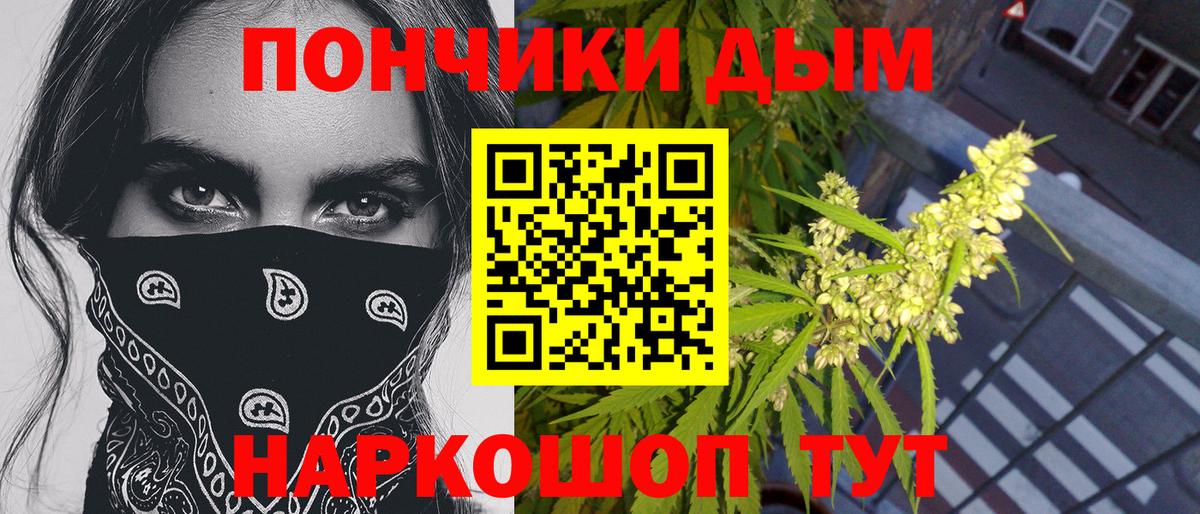 Конопля индика Асино