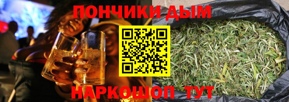 Каннабис ГИДРОПОН Асино